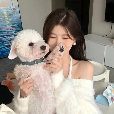 麻将放浪记