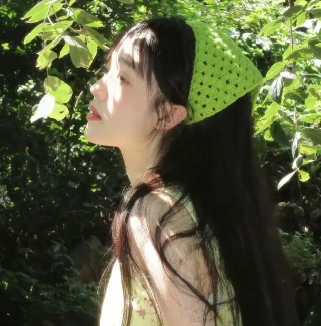 护花大臣