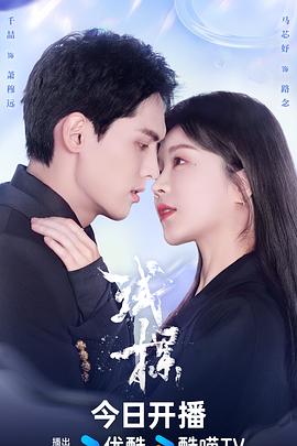 扬尼斯：传奇之旅 封面图