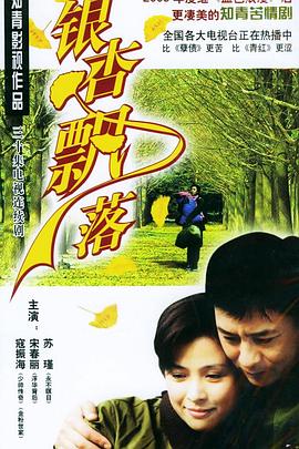 夏威夷男孩 封面图